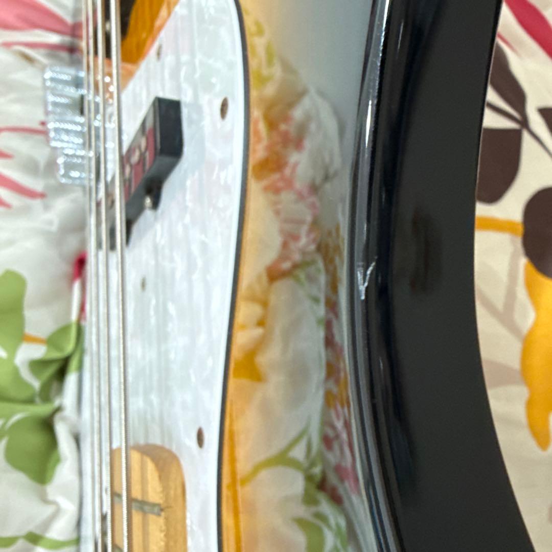 A*O様 Edwards E-T-125BZ tetsuya