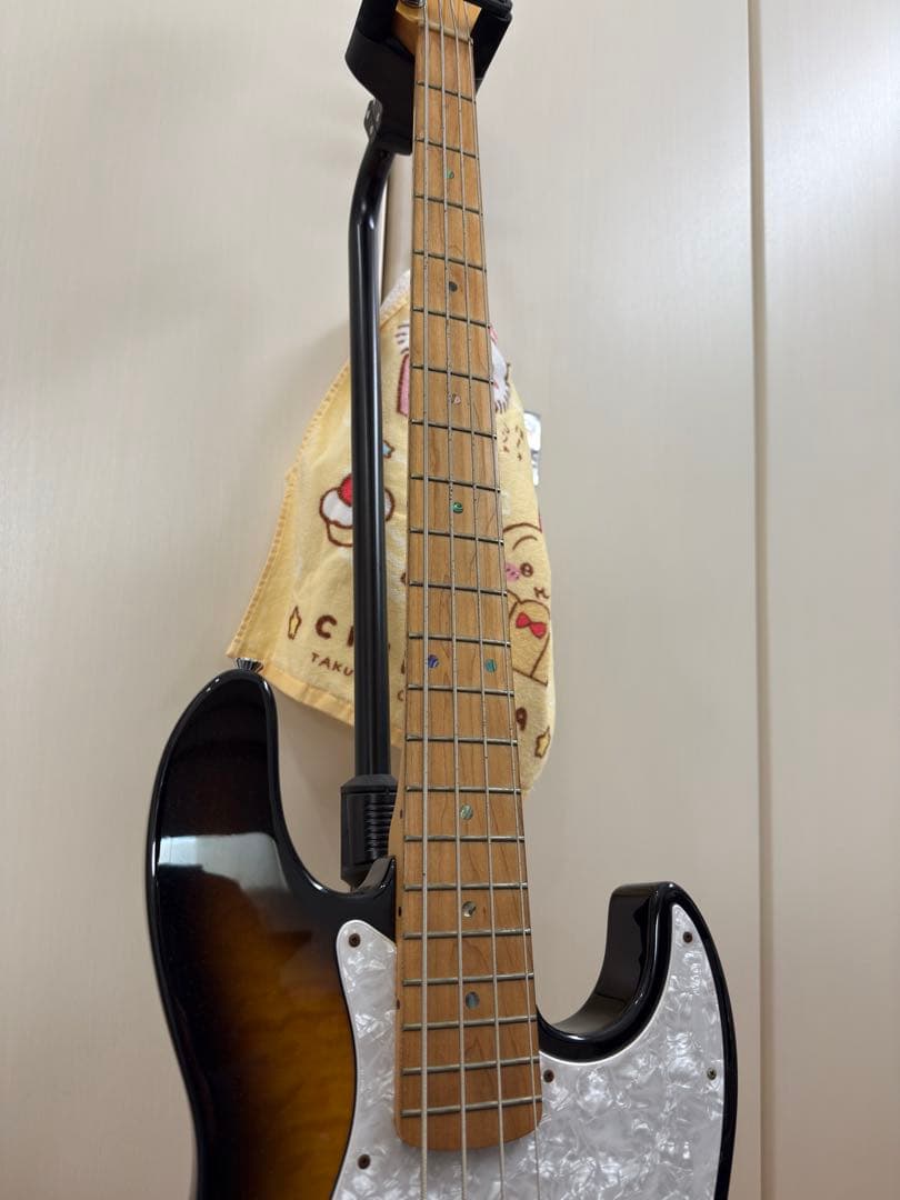 A*O様 Edwards E-T-125BZ tetsuya