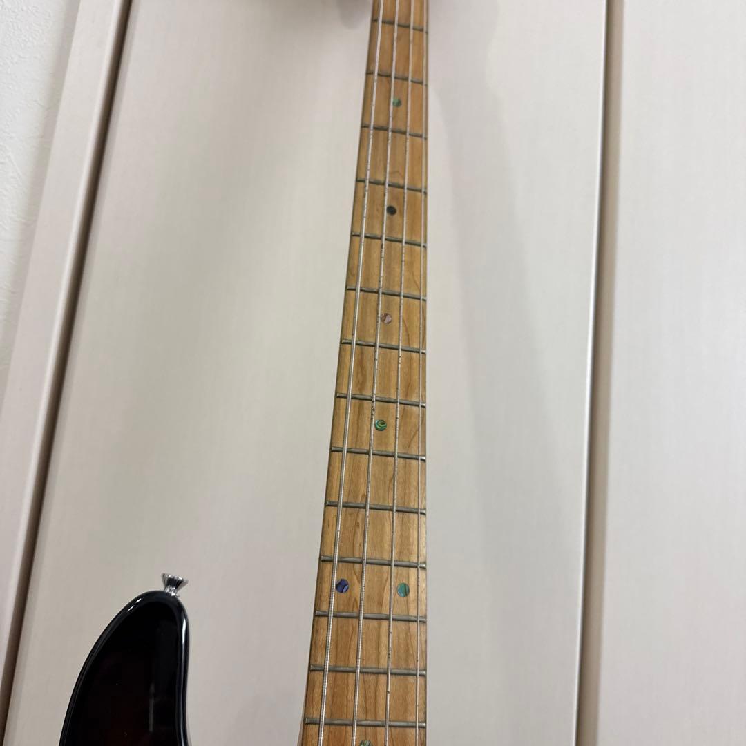 A*O様 Edwards E-T-125BZ tetsuya