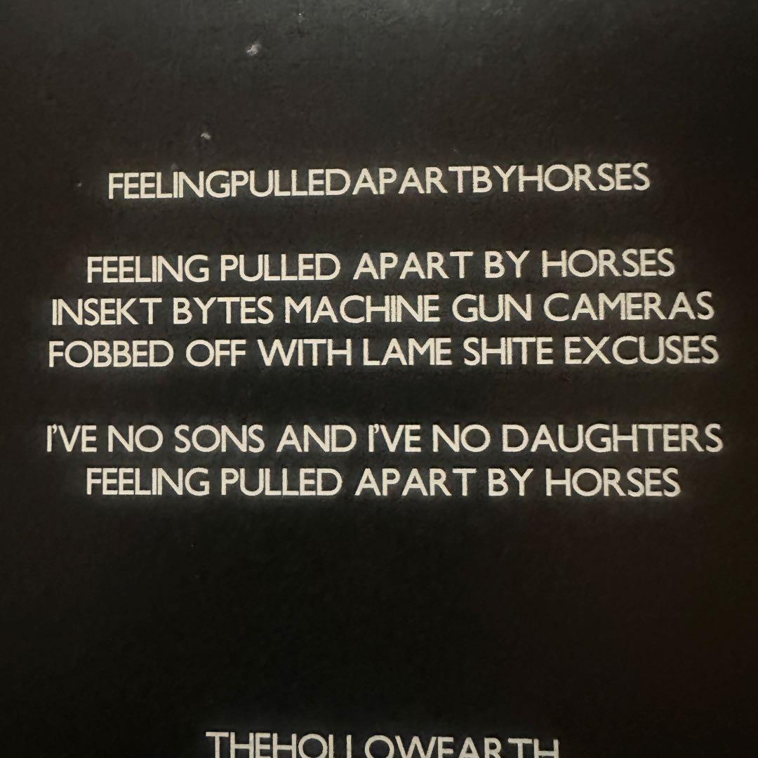 Thom Yorke-FeelingPulledApartByHorses 美品