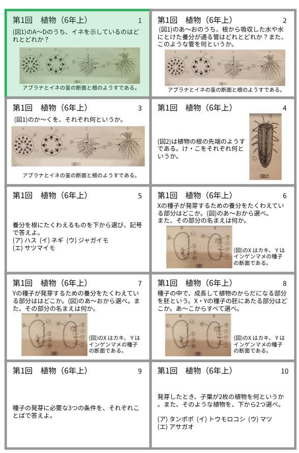予習シリーズ暗記カード【６年上 社会・理科１〜１８回】 中学受験