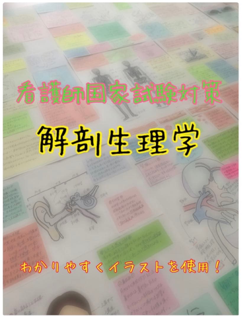 まとめ価格！看護師国家試験対策 大量付箋 暗記カード 解剖生理学 付箋ノート