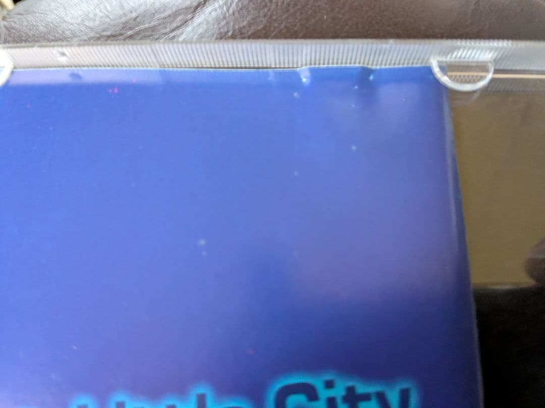 P Dub The Biggest Little City レア