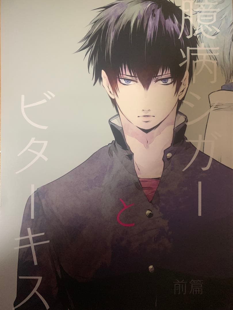★銀魂同人誌・臆病シガーとビターキス 前後篇★