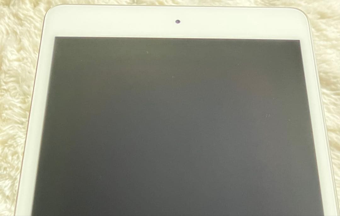 【早い者勝ち】iPad mini5 64GB 【すぐ発送】【付属品】