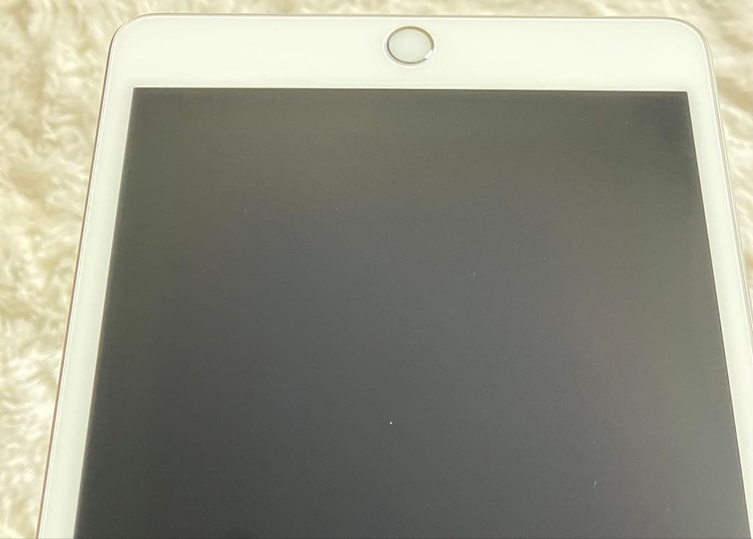 【早い者勝ち】iPad mini5 64GB 【すぐ発送】【付属品】