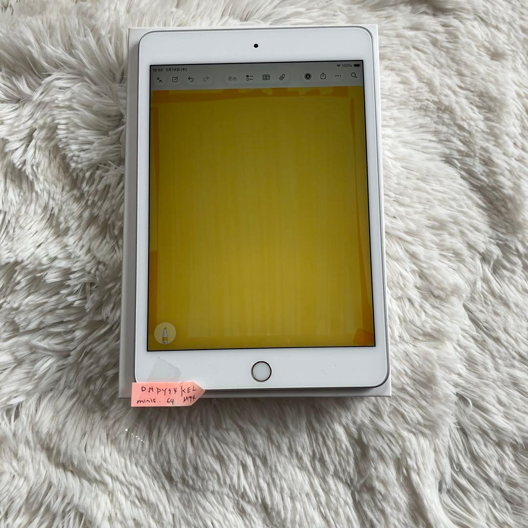 【早い者勝ち】iPad mini5 64GB 【すぐ発送】【付属品】
