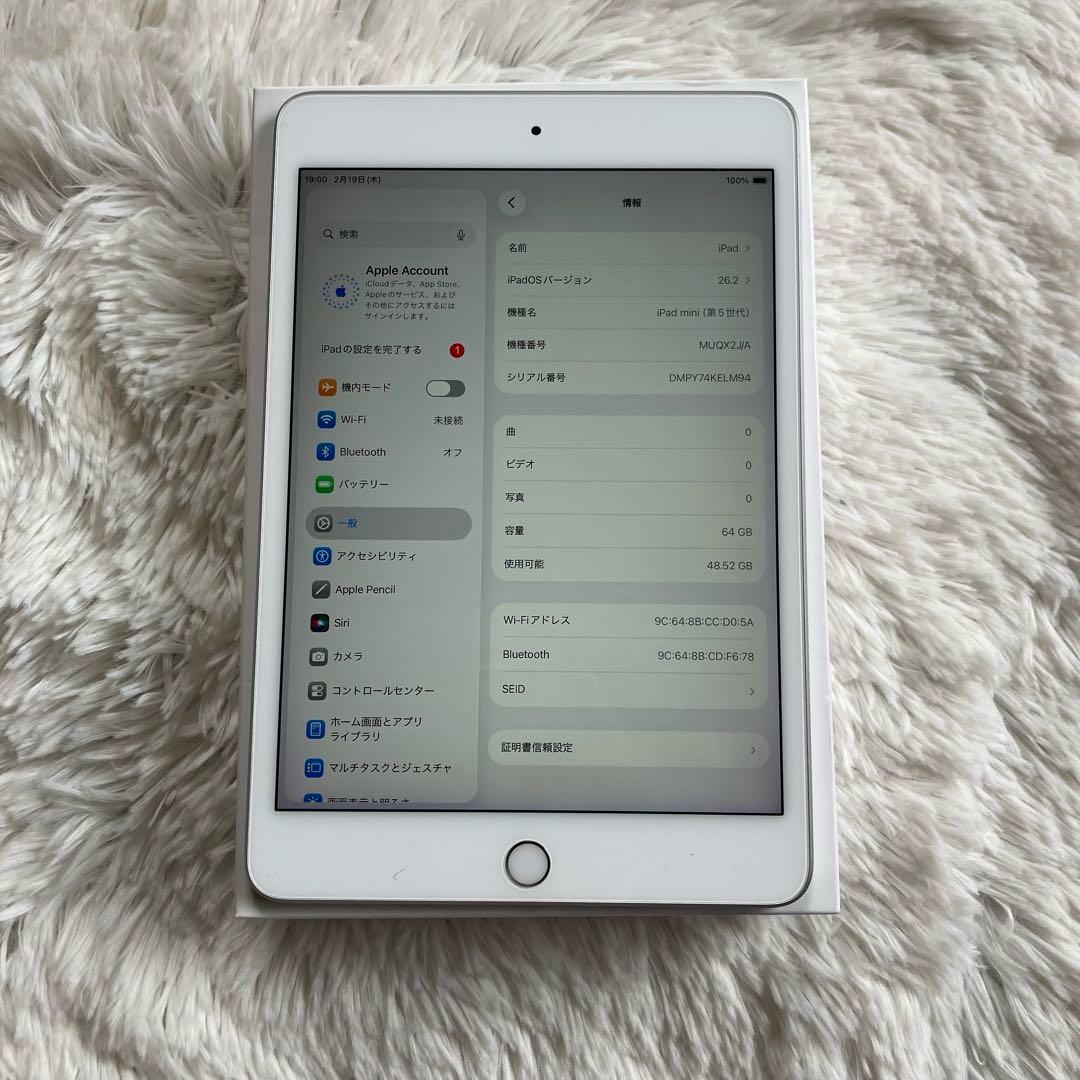 【早い者勝ち】iPad mini5 64GB 【すぐ発送】【付属品】