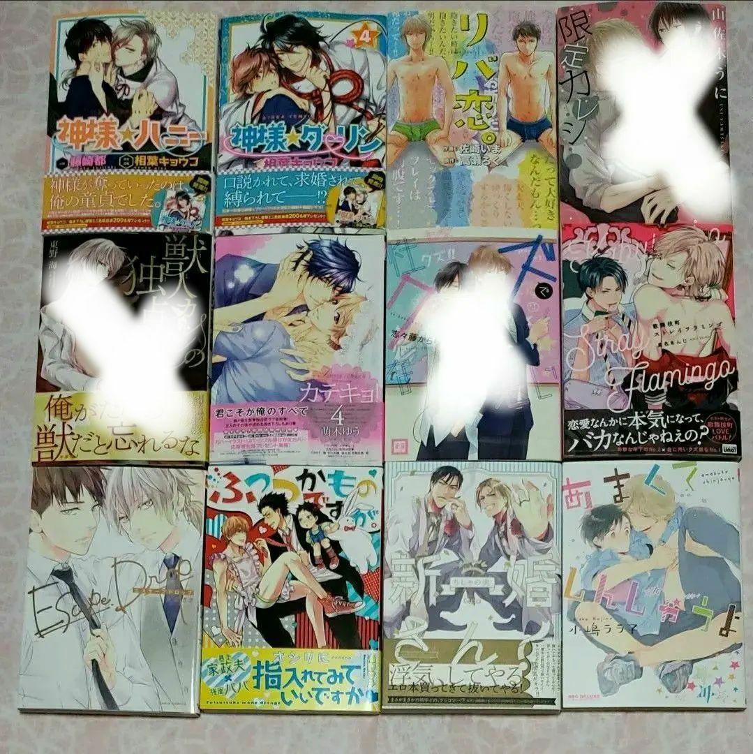 BLコミック まとめ売り バラ売り可 漫画 ボーイズラブ　⑩