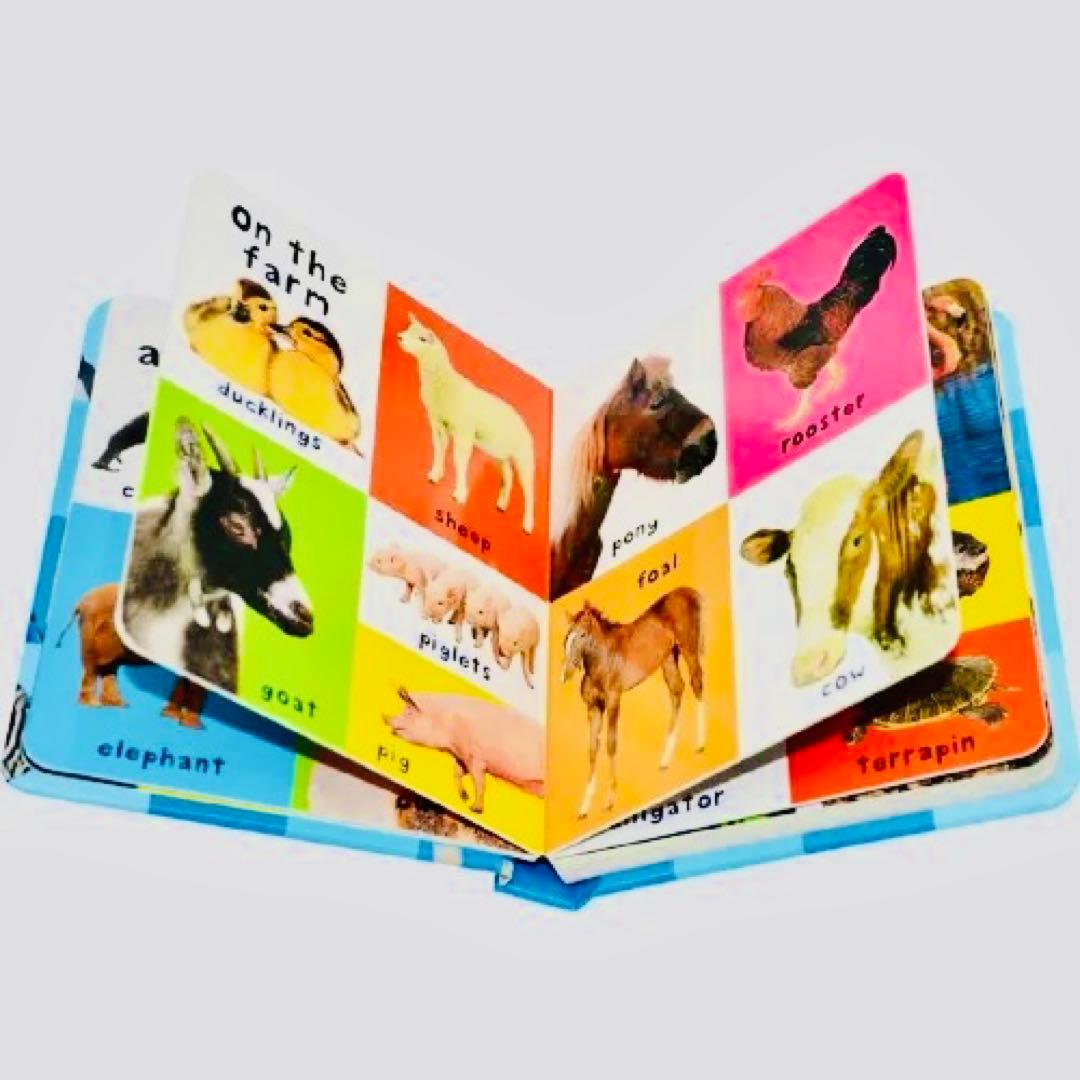 はじめての100ブックセット Priddy Books 最新9冊セット