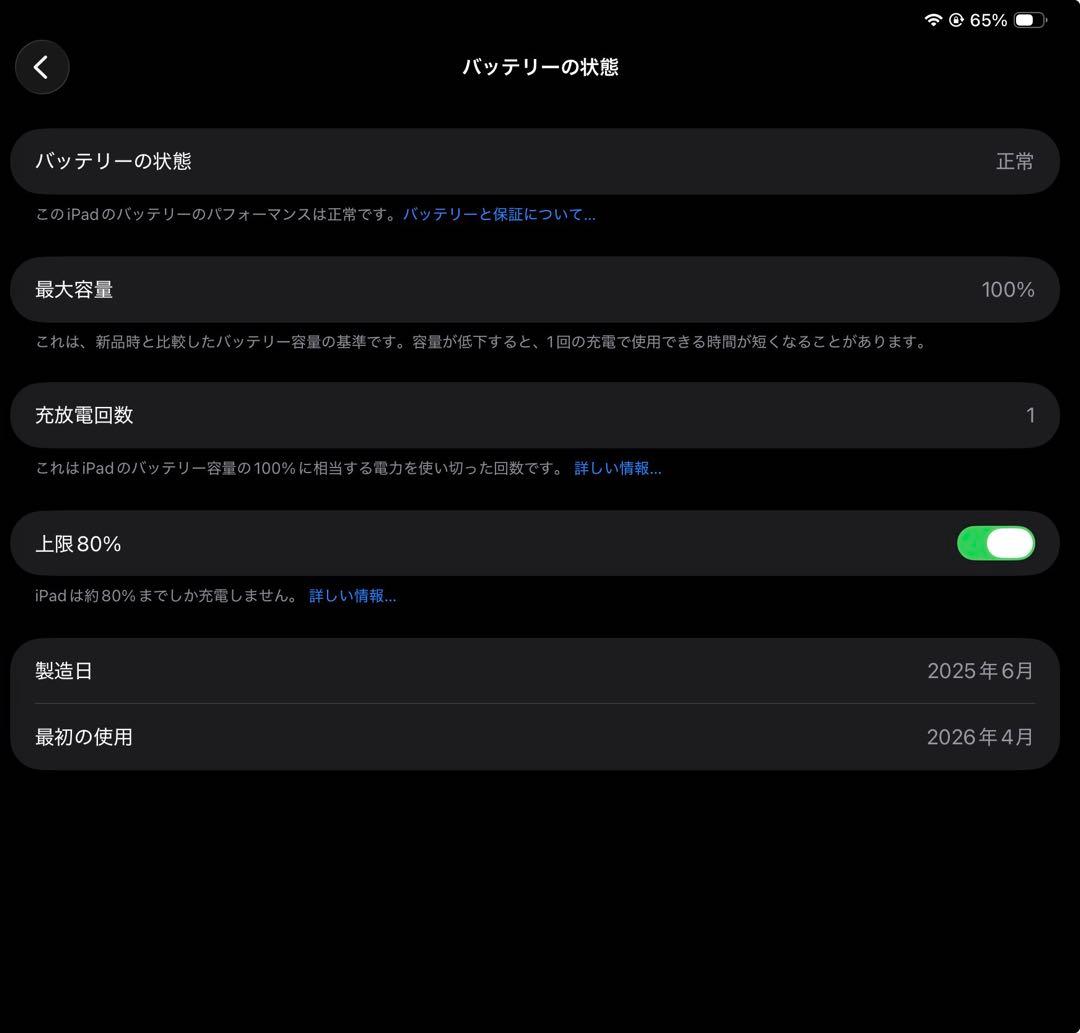 【バッテリー100%】M5 iPad Pro 11” 256GB WiFi