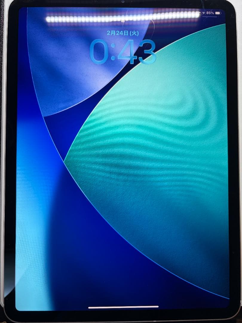 Apple iPad Pro (11-inch) 256GB SIMフリー