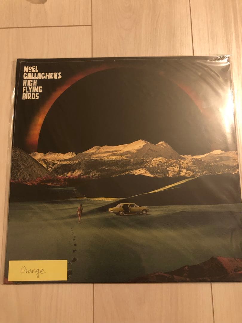 新品 holy mountain カラーレコード noel oasis