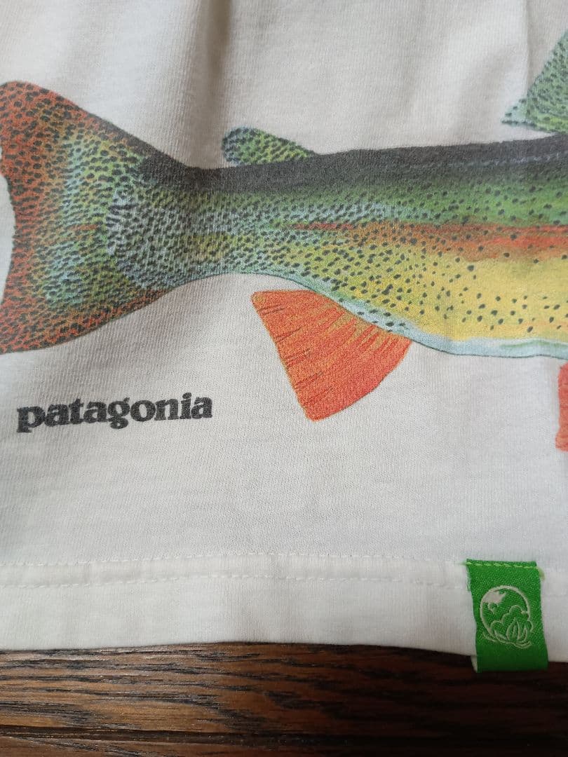 Patagonia パタゴニア WORLD TROUT 魚Tシャツ XL 希少品