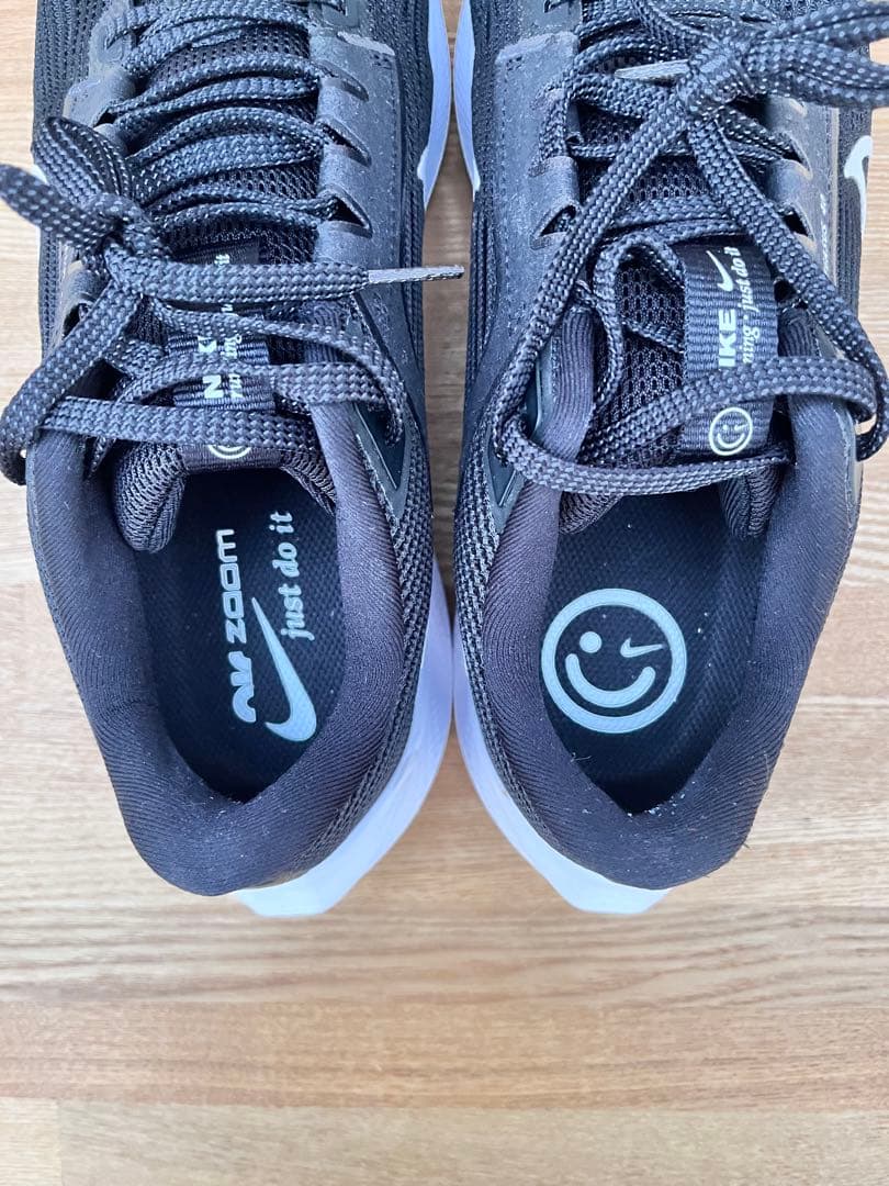 NIKE ナイキ ペガサス40