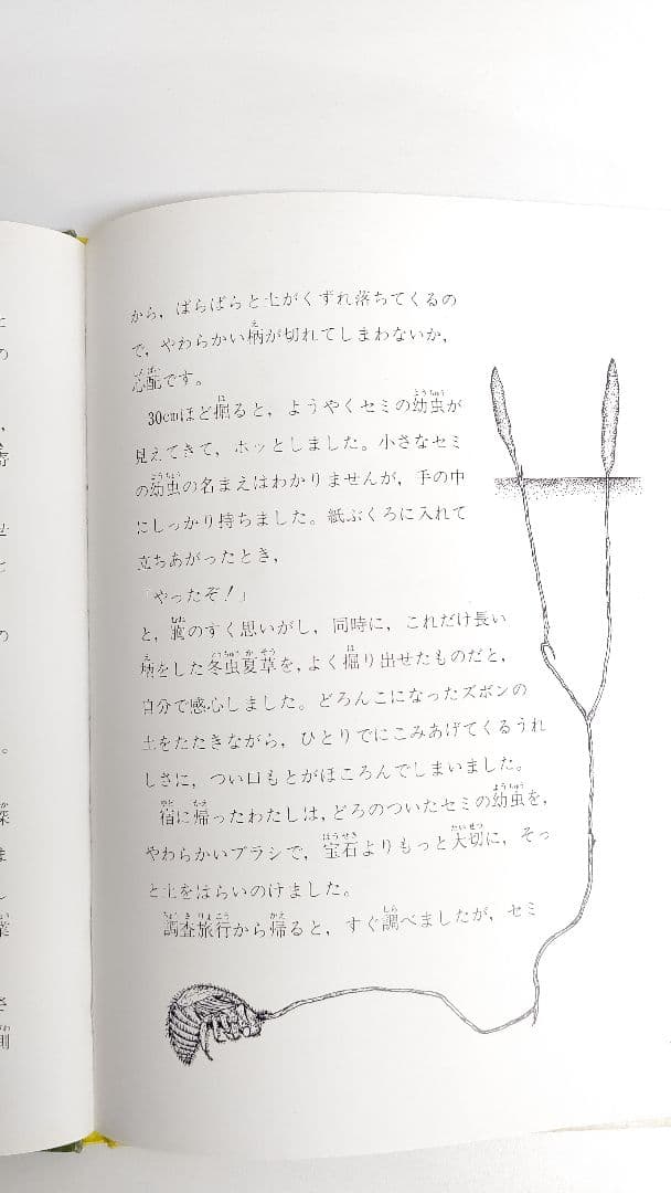『虫をたおすキノコ』吉見昭一 著 子ども科学図書館 ムシに生えたきのこ 冬虫夏草