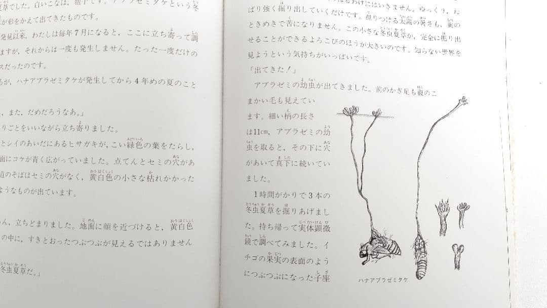 『虫をたおすキノコ』吉見昭一 著 子ども科学図書館 ムシに生えたきのこ 冬虫夏草