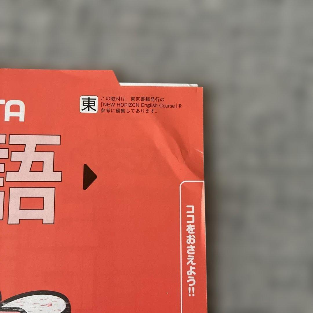 ポピー中学3年生