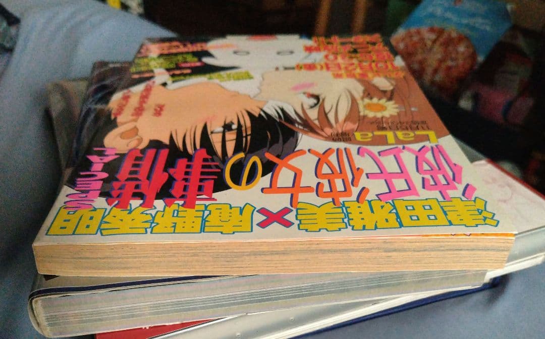 彼氏彼女の事情 SPECIAL 月刊LaLa臨時増刊