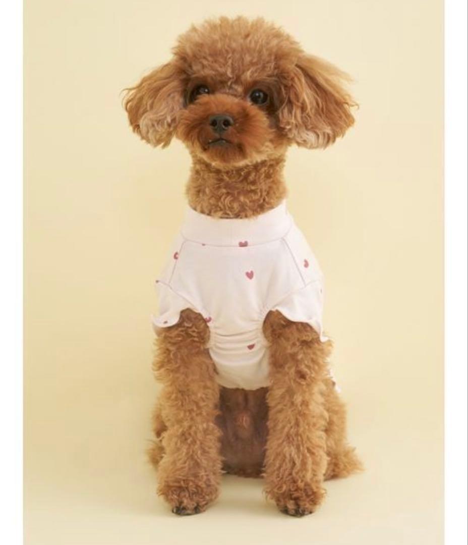 ２点セット新品Lサイズ犬 服 「CAT＆DOG」ハート柄　オータムケーキ柄