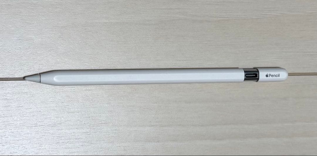 iPadアクセサリー Apple Pencil (USB-C)