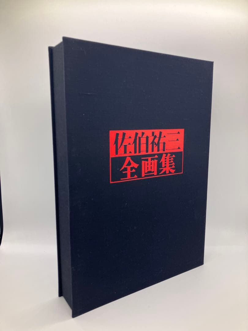 佐伯祐三全画集