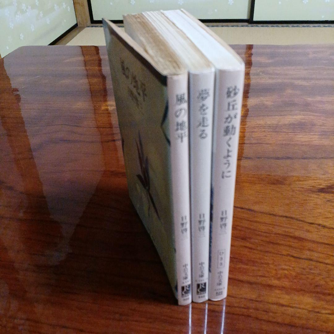 日野啓三中公文庫3冊セットです。