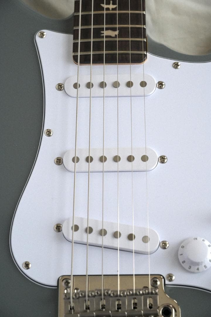 PRS SE Silver Sky 【Storm Gray】