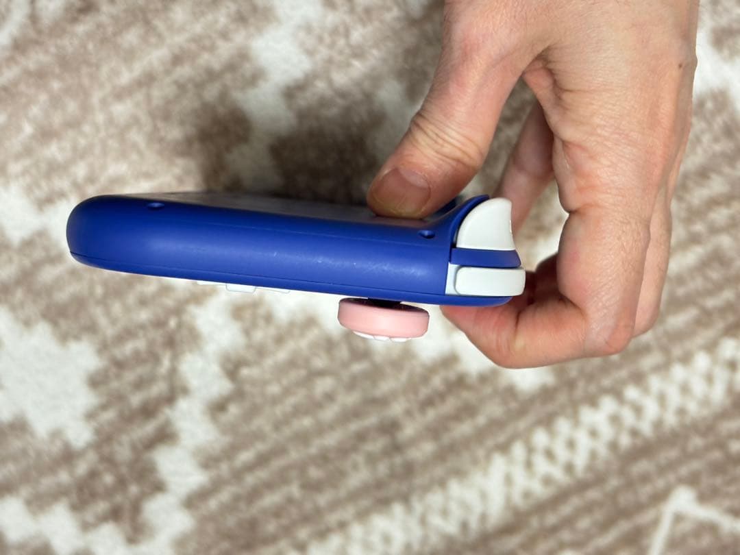 Nintendo Switch Lite 本体と充電器のみ