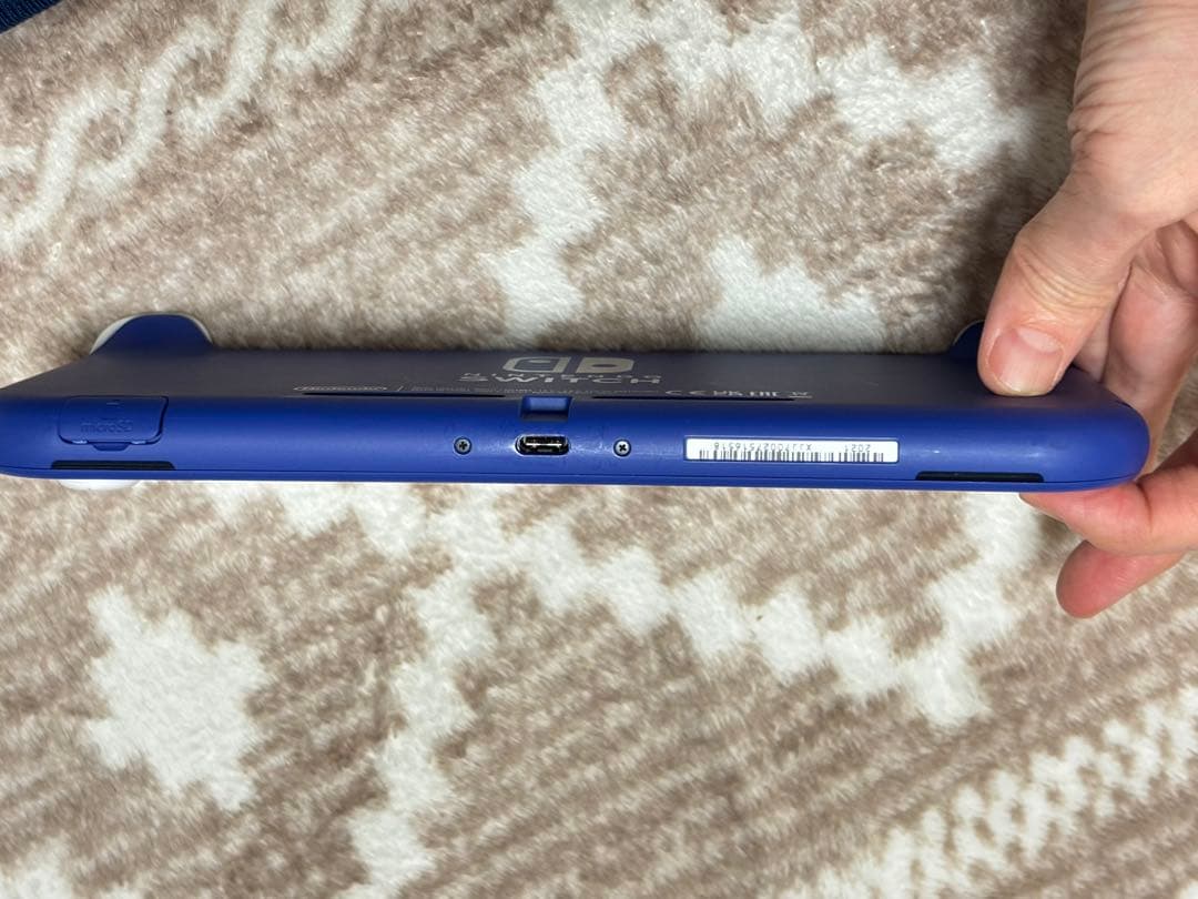 Nintendo Switch Lite 本体と充電器のみ
