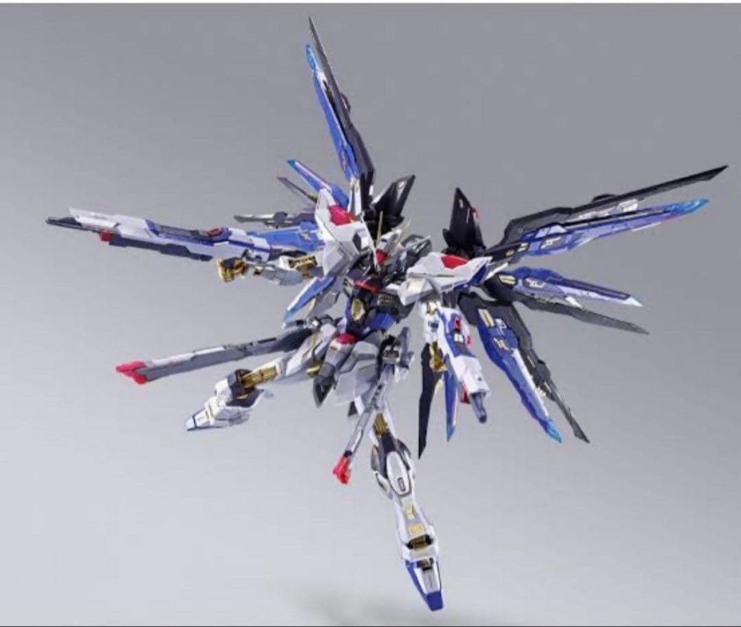 メタルビルド ストライクフリーダムガンダム&光の翼セット L BUILD