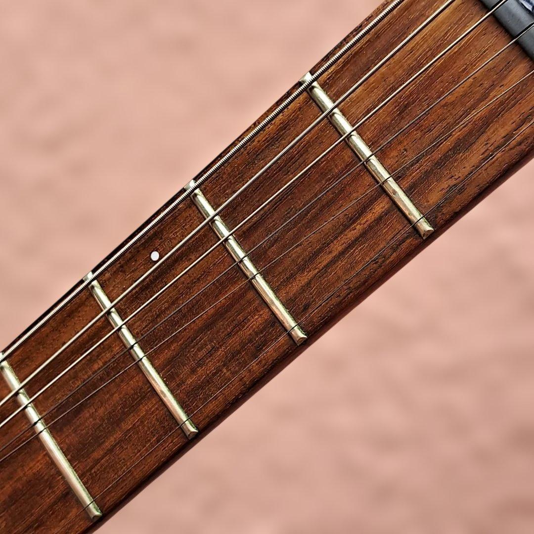 ■FERNANDES RE-95G ディマジオ 瀧川一郎 D’ERLANGER