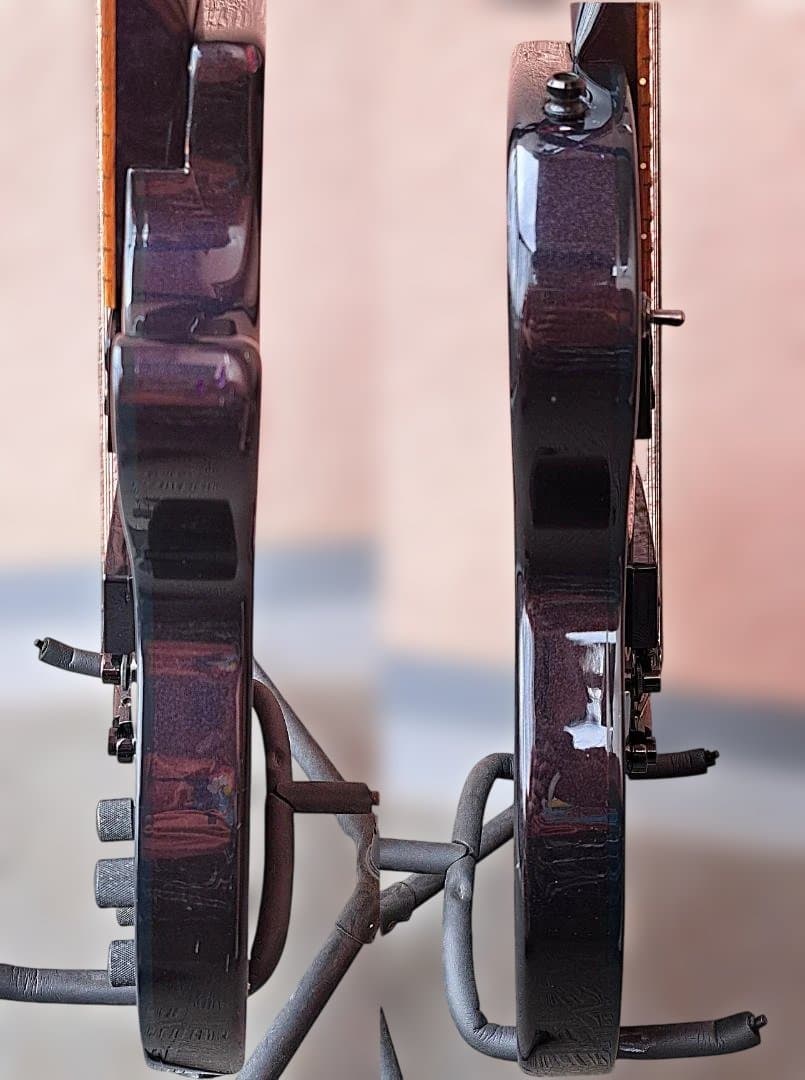 ■FERNANDES RE-95G ディマジオ 瀧川一郎 D’ERLANGER