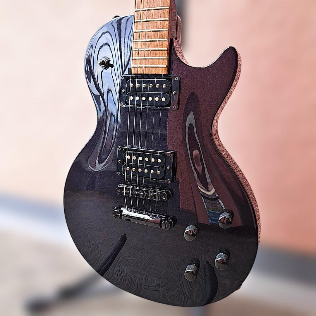 ■FERNANDES RE-95G ディマジオ 瀧川一郎 D’ERLANGER