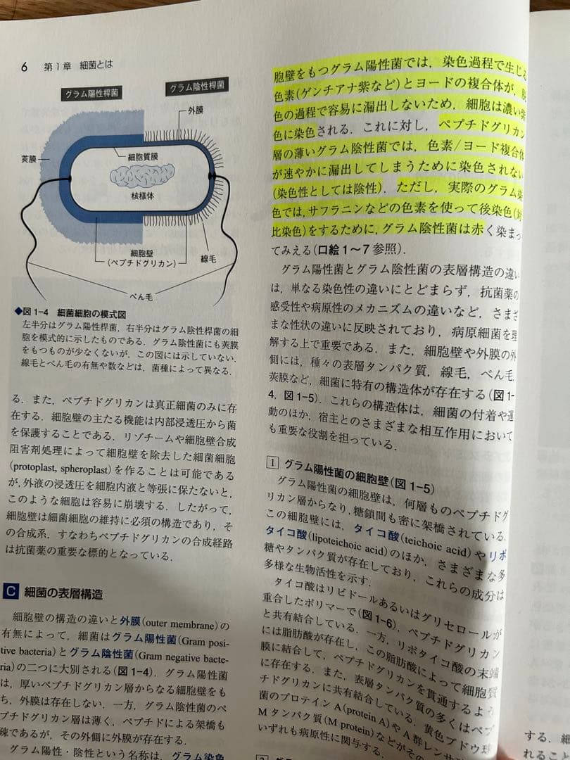 医科細菌学 改訂第4版