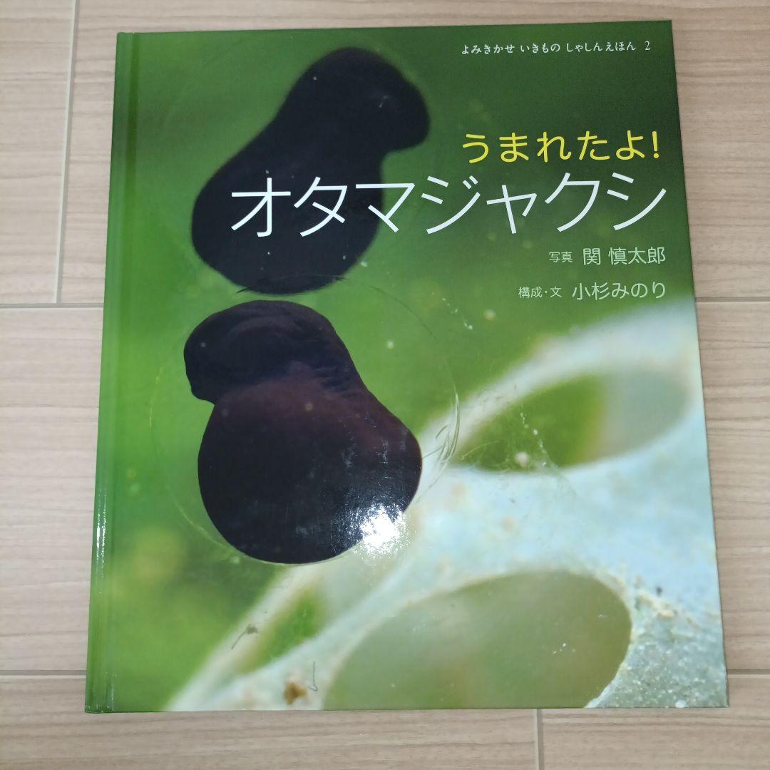 うまれたよ! シリーズ写真絵本セット5冊