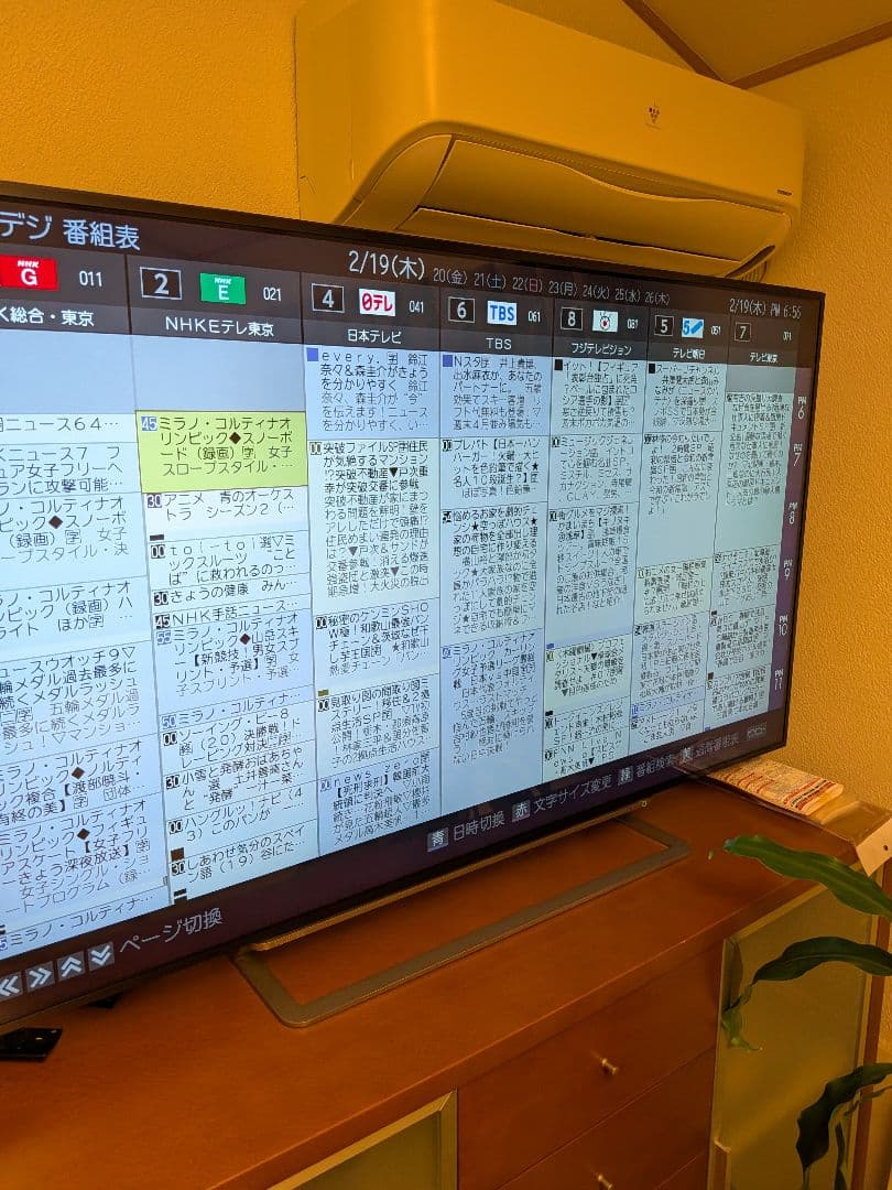 TOSHIBA REGZA 55G20X 55V型＆1tbHD＆fireTV付き