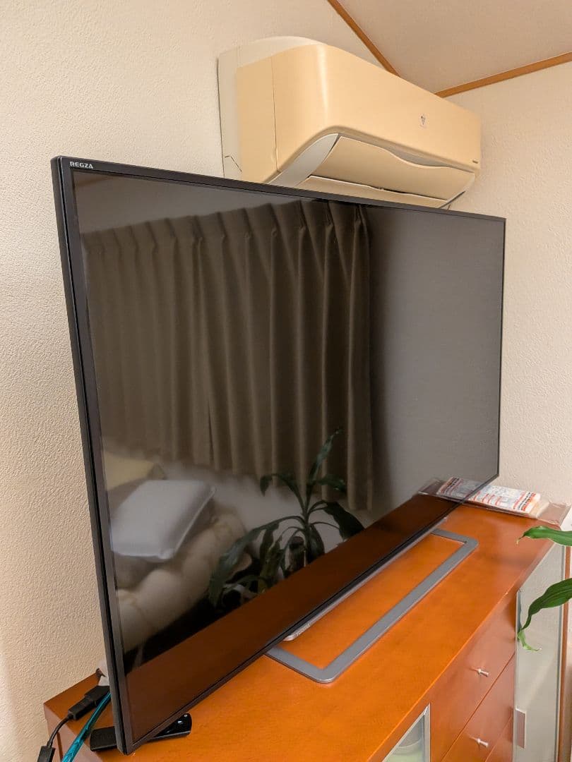 TOSHIBA REGZA 55G20X 55V型＆1tbHD＆fireTV付き