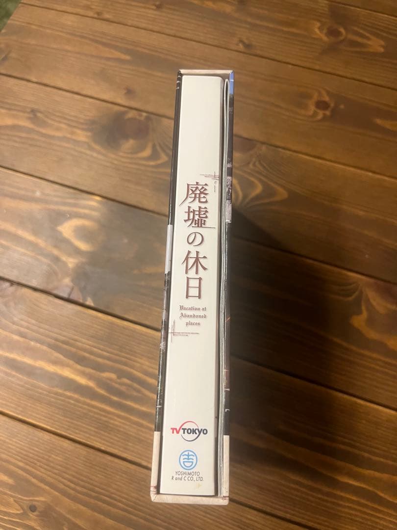廃墟の休日 DVD