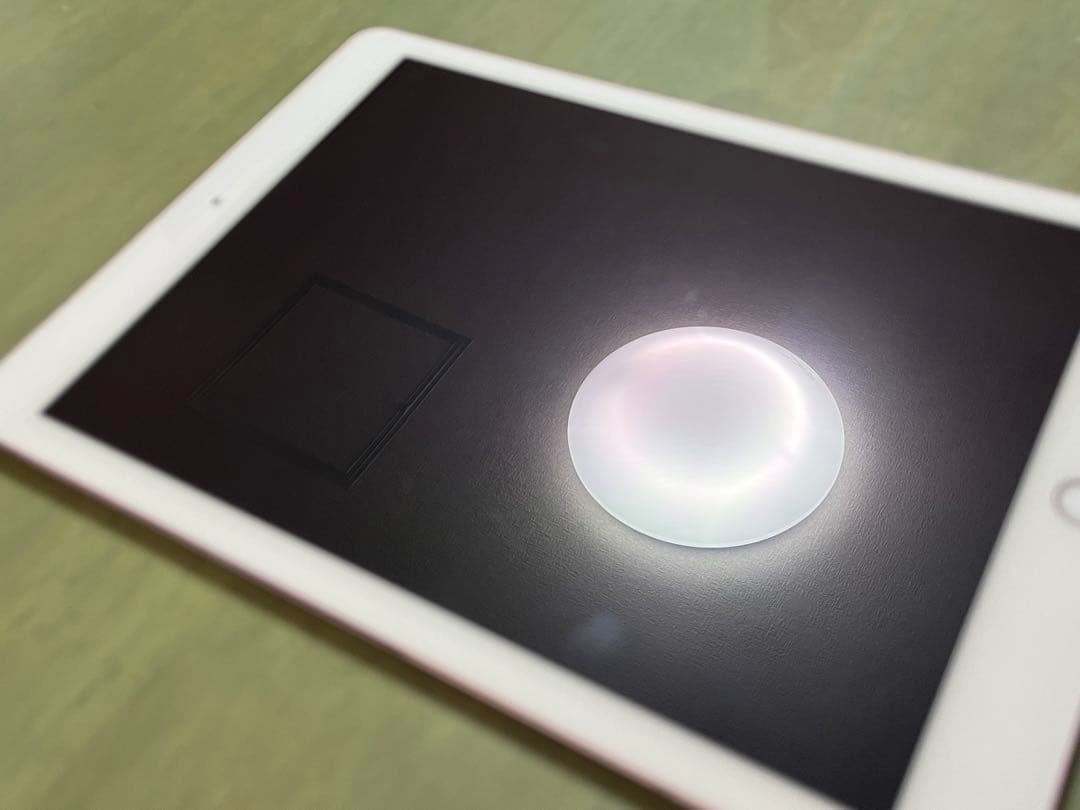 iPad Pro 9.7 Wi-Fi+Cellular 256GB SIMフリー