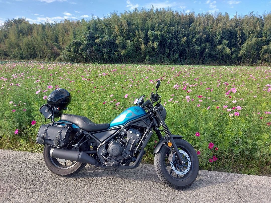 ラム　レブル500 250 シート