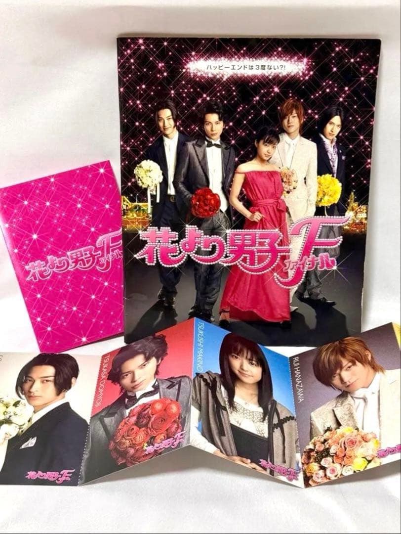 嵐花より男子ファイナル初回生産限定プレミアムエディションDVDパンフレットセット