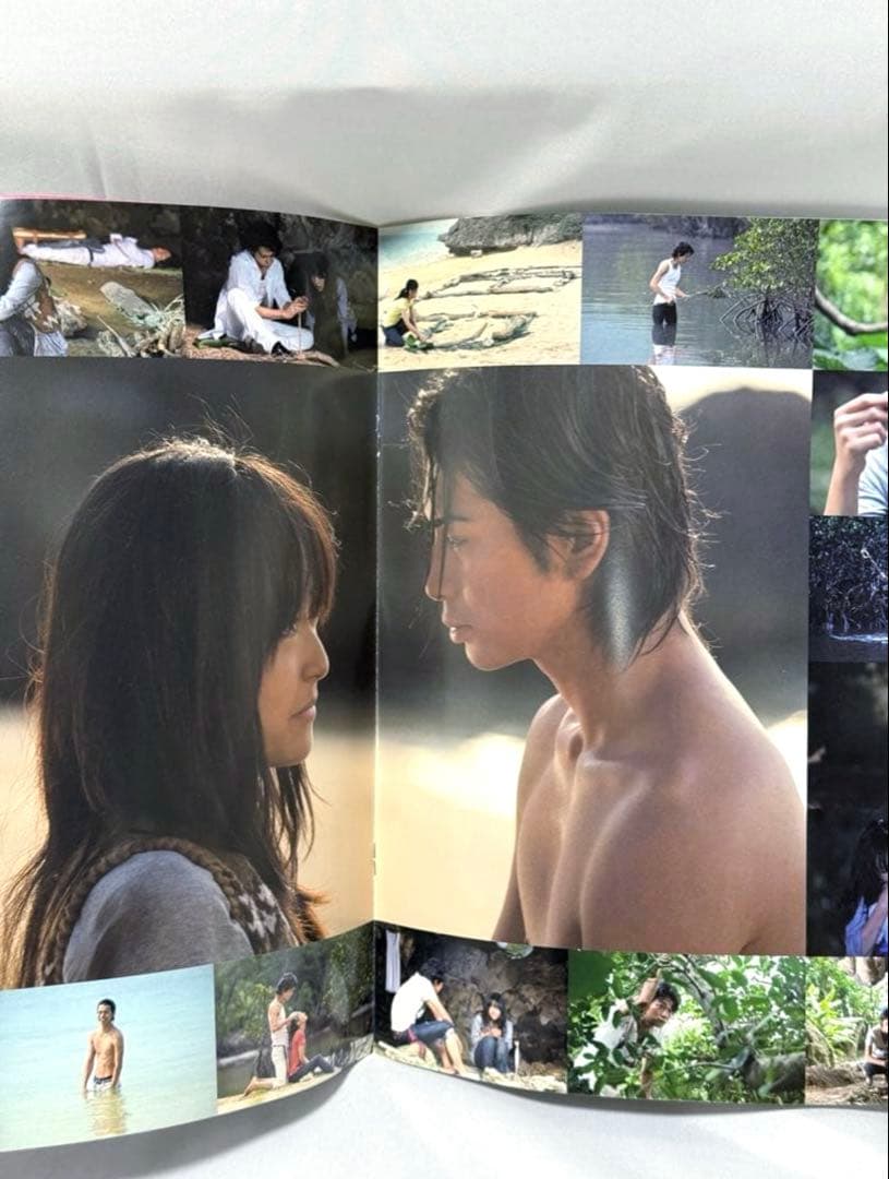 嵐花より男子ファイナル初回生産限定プレミアムエディションDVDパンフレットセット