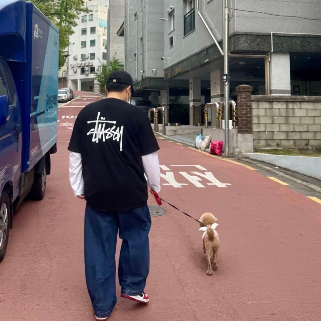 ☆ STUSSY BASIC PIG. DYED TEE ☆