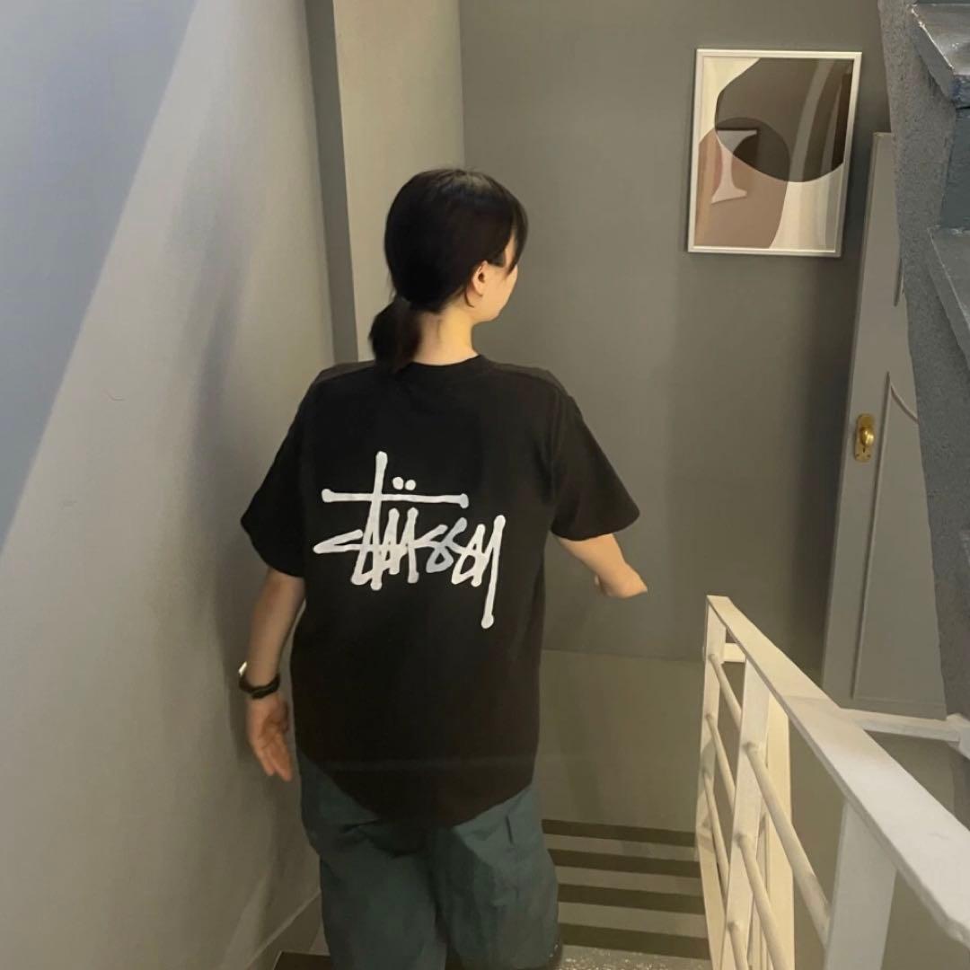 ☆ STUSSY BASIC PIG. DYED TEE ☆