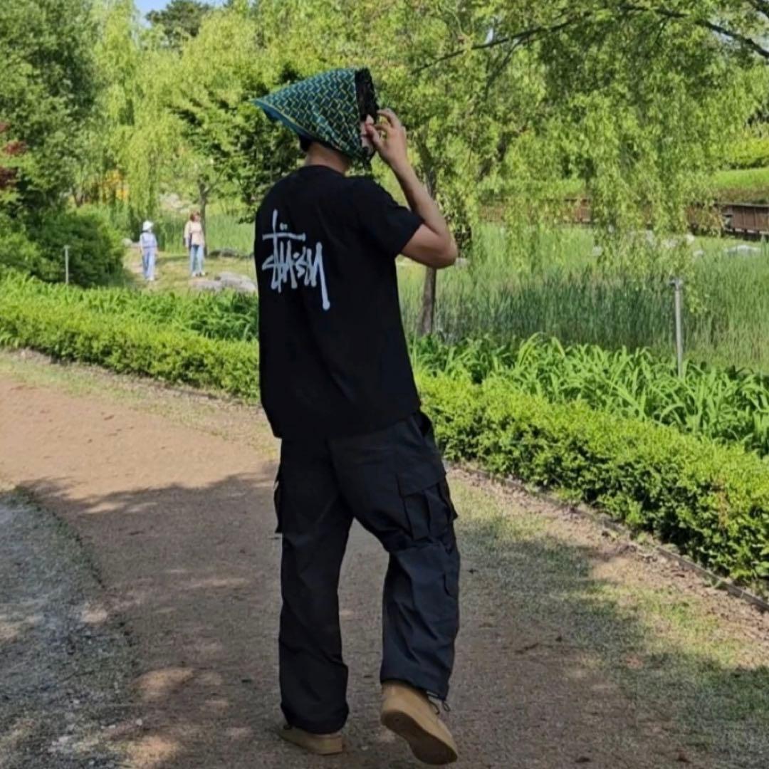 ☆ STUSSY BASIC PIG. DYED TEE ☆
