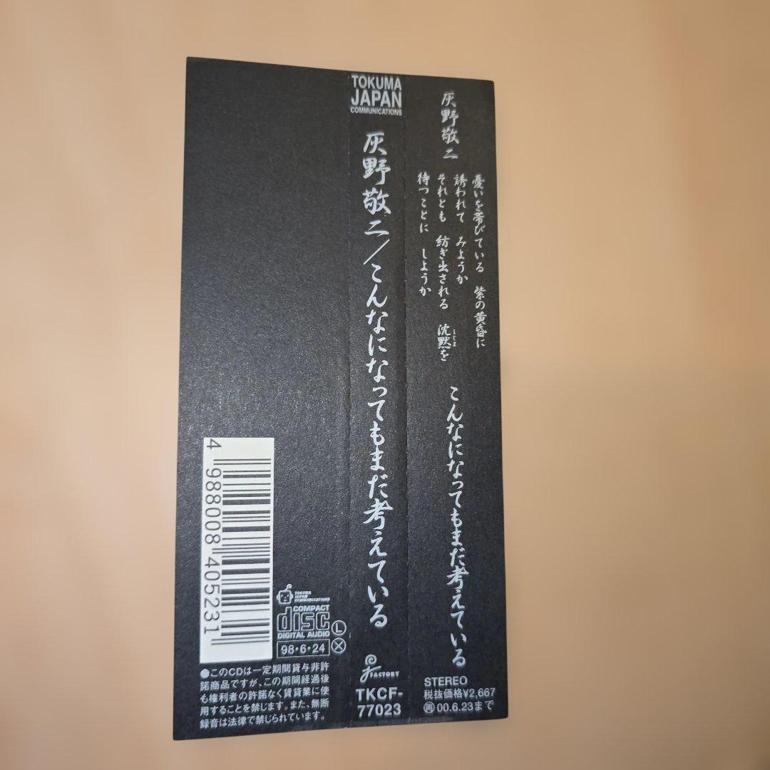 灰野 敬二　こんなになってもまだ考えている