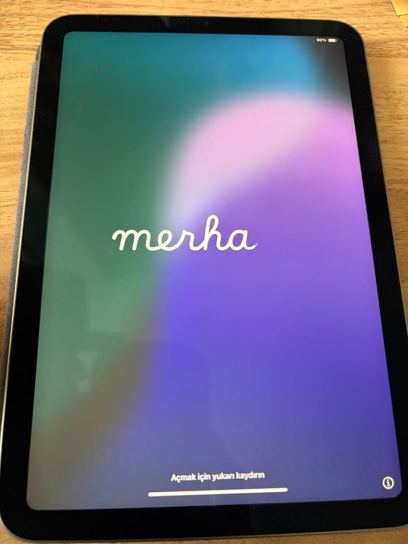 Apple iPad mini A17pro スペースグレー 本体