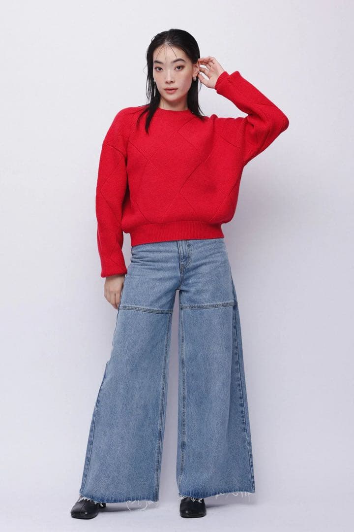 YOOU デニム　有末麻祐子さん着用