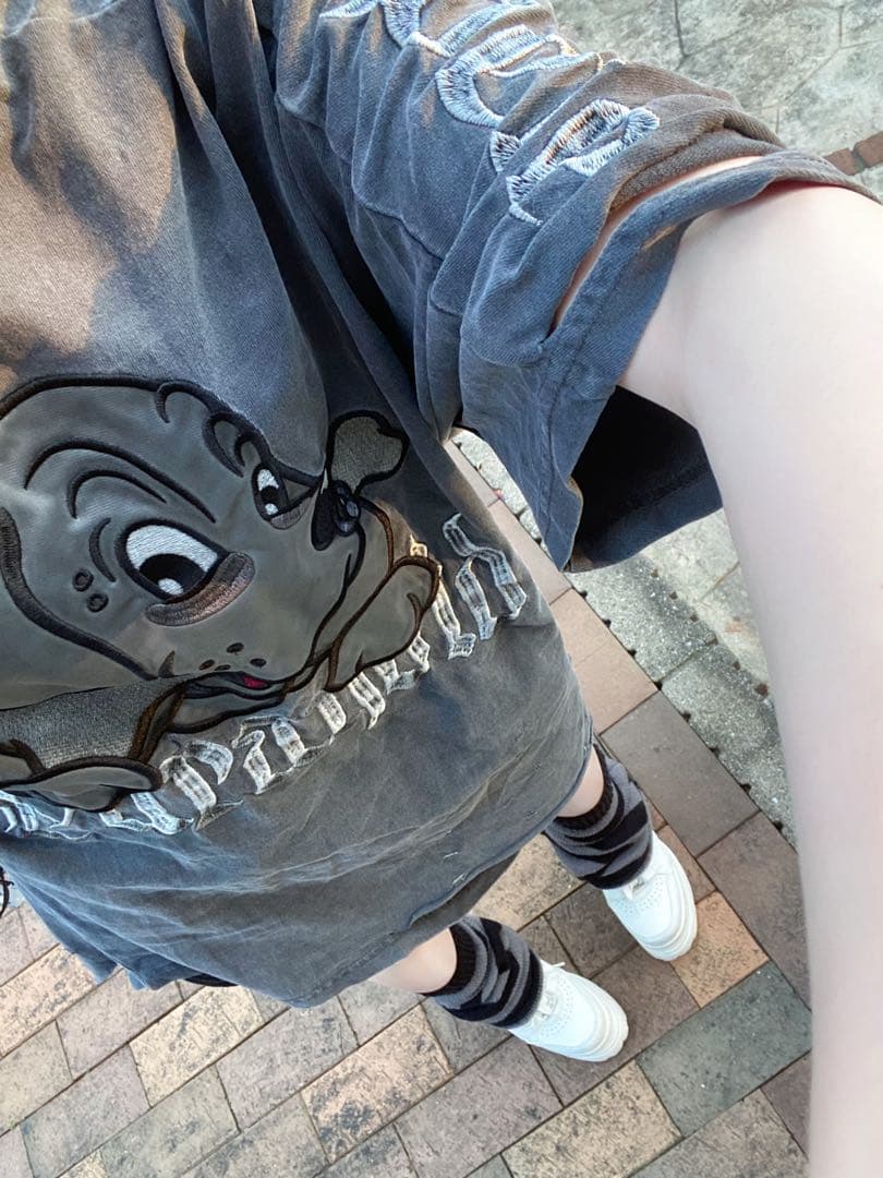 ガルフィー セットアップ